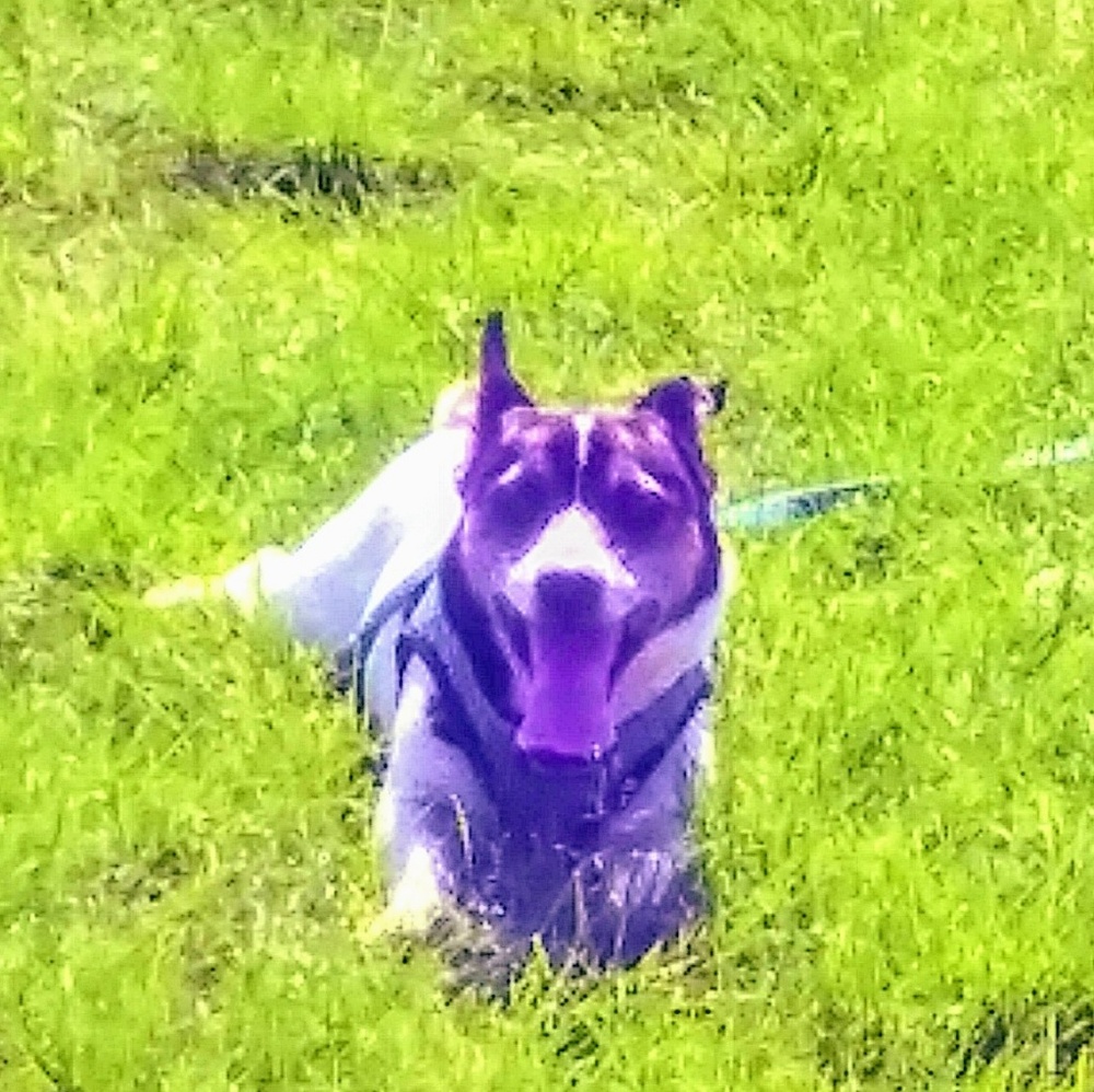 Meet your Posher, Ken